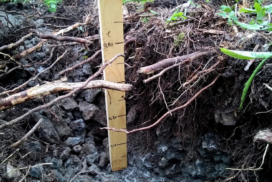 The memorial ‘’ Lysningen – The Clearing ’’ at Utøya is breaking ground.