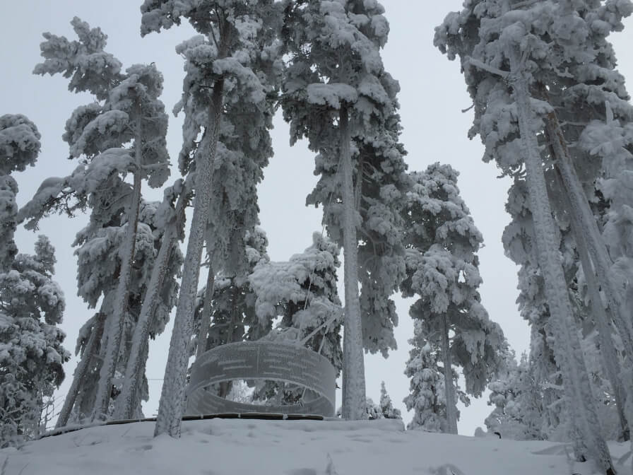 The Clearing at Utøya is nominated to WAN award 2015